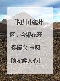 铜川市耀州区：金银花开促振兴 志愿助农暖人心