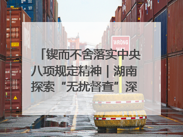 锲而不舍落实中央八项规定精神｜湖南探索“无扰督查”深化基层减负