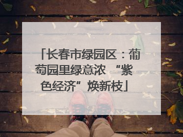 长春市绿园区：葡萄园里绿意浓 “紫色经济”焕新枝