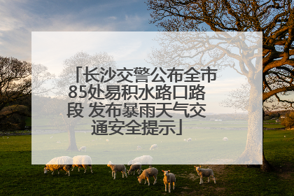 长沙交警公布全市85处易积水路口路段 发布暴雨天气交通安全提示