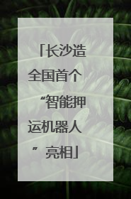 长沙造全国首个“智能押运机器人”亮相