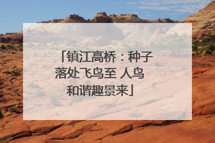 镇江高桥：种子落处飞鸟至 人鸟和谐趣景来