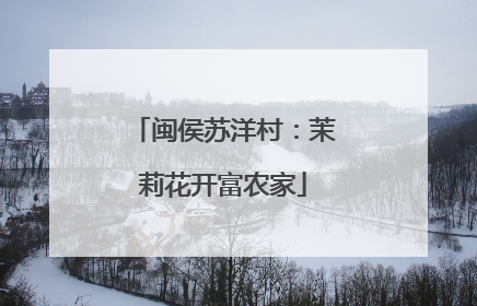 闽侯苏洋村：茉莉花开富农家