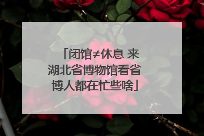 闭馆≠休息 来湖北省博物馆看省博人都在忙些啥