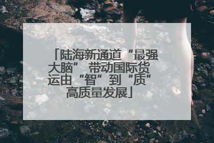 陆海新通道“最强大脑” 带动国际货运由“智”到“质”高质量发展