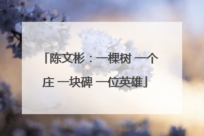 陈文彬：一棵树 一个庄 一块碑 一位英雄