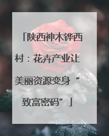 陕西神木铧西村：花卉产业让美丽资源变身“致富密码”