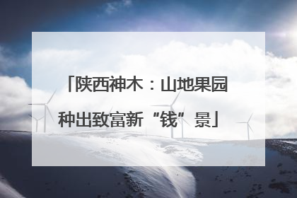 陕西神木：山地果园种出致富新“钱”景