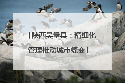 陕西吴堡县：精细化管理推动城市蝶变