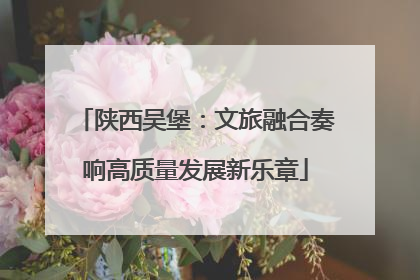 陕西吴堡：文旅融合奏响高质量发展新乐章