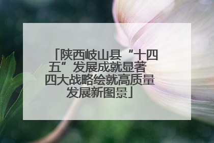 陕西岐山县“十四五”发展成就显著 四大战略绘就高质量发展新图景