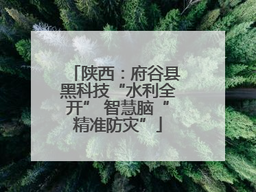 陕西：府谷县黑科技“水利全开” 智慧脑“精准防灾”