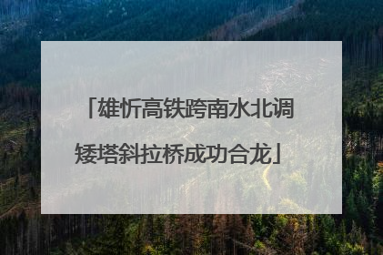 雄忻高铁跨南水北调矮塔斜拉桥成功合龙