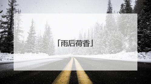 雨后荷香