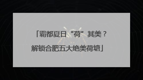 霸都夏日“荷”其美？解锁合肥五大绝美荷塘