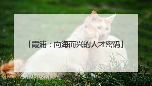 霞浦：向海而兴的人才密码