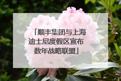顺丰集团与上海迪士尼度假区宣布数年战略联盟