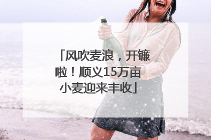 风吹麦浪，开镰啦！顺义15万亩小麦迎来丰收