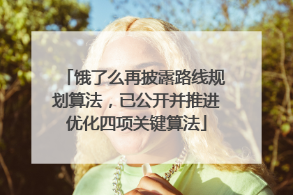 饿了么再披露路线规划算法，已公开并推进优化四项关键算法