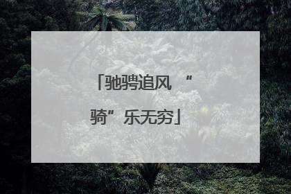 驰骋追风 “骑”乐无穷