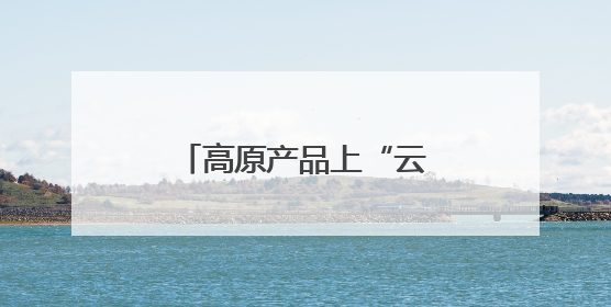 高原产品上“云”端——西藏电商发展一线观察