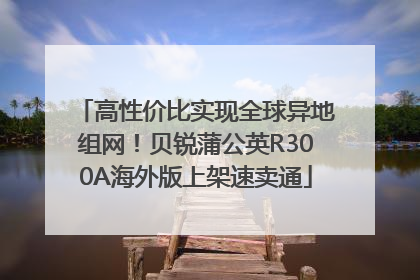 高性价比实现全球异地组网！贝锐蒲公英R300A海外版上架速卖通