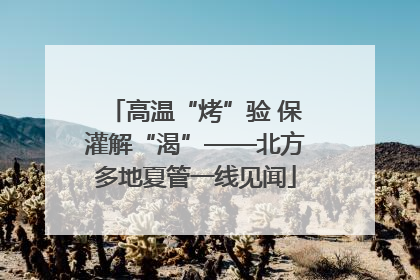 高温“烤”验 保灌解“渴”——北方多地夏管一线见闻
