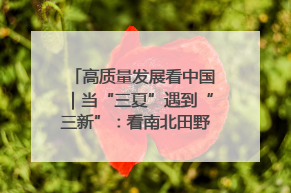 高质量发展看中国｜当“三夏”遇到“三新”：看南北田野里的科技共生记