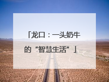 龙口：一头奶牛的“智慧生活”