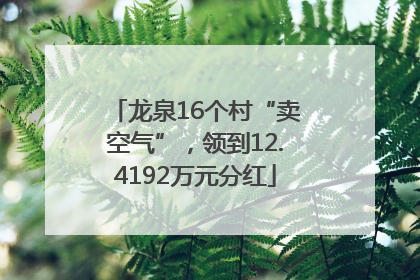 龙泉16个村“卖空气”，领到12.4192万元分红