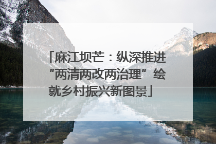 麻江坝芒：纵深推进“两清两改两治理”绘就乡村振兴新图景