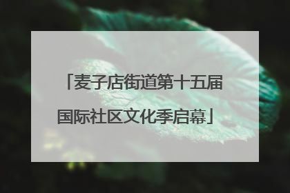 麦子店街道第十五届国际社区文化季启幕