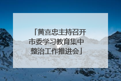黄喜忠主持召开市委学习教育集中整治工作推进会