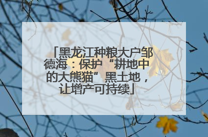 黑龙江种粮大户邹德海：保护“耕地中的大熊猫”黑土地，让增产可持续