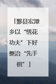 黟县宏潭乡以“绣花功夫”下好整治“先手棋”