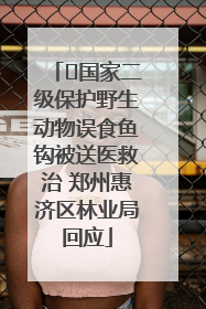 ﻿国家二级保护野生动物误食鱼钩被送医救治 郑州惠济区林业局回应