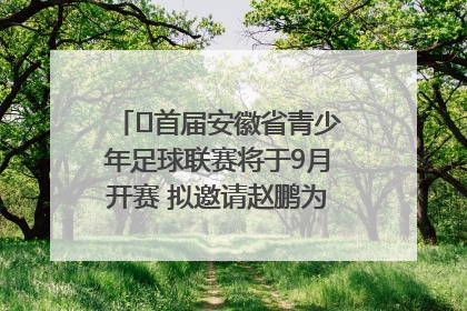 ﻿首届安徽省青少年足球联赛将于9月开赛 拟邀请赵鹏为先导赛开球