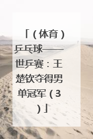 （体育）乒乓球——世乒赛：王楚钦夺得男单冠军（3）