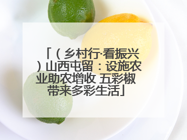 （乡村行·看振兴）山西屯留：设施农业助农增收 五彩椒带来多彩生活