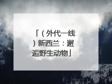 （外代一线）新西兰：邂逅野生动物