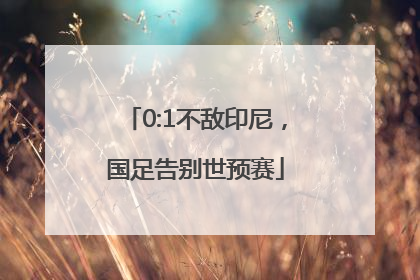 0:1不敌印尼，国足告别世预赛