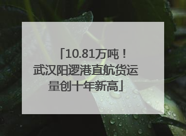 10.81万吨！武汉阳逻港直航货运量创十年新高