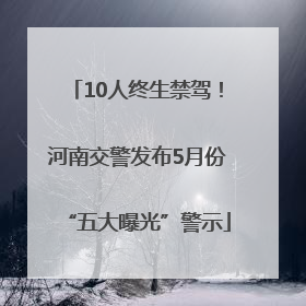 10人终生禁驾！河南交警发布5月份“五大曝光”警示