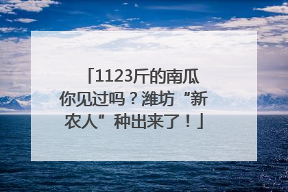 1123斤的南瓜你见过吗？潍坊“新农人”种出来了！