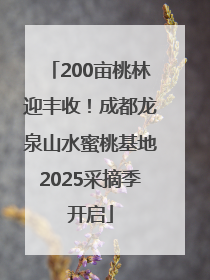 200亩桃林迎丰收！成都龙泉山水蜜桃基地2025采摘季开启