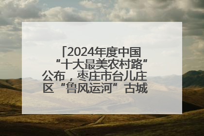 2024年度中国“十大最美农村路”公布，枣庄市台儿庄区“鲁风运河”古城文化廊道上榜！