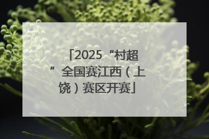 2025“村超”全国赛江西（上饶）赛区开赛