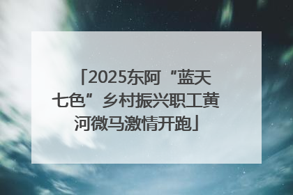 2025东阿“蓝天七色”乡村振兴职工黄河微马激情开跑