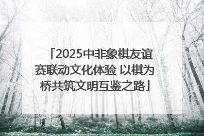2025中非象棋友谊赛联动文化体验 以棋为桥共筑文明互鉴之路