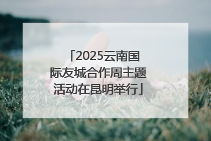 2025云南国际友城合作周主题活动在昆明举行